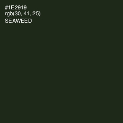 #1E2919 - Seaweed Color Image