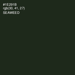 #1E291B - Seaweed Color Image