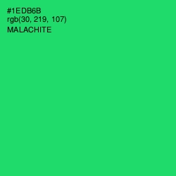 #1EDB6B - Malachite Color Image