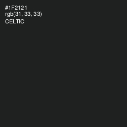 #1F2121 - Celtic Color Image