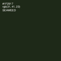#1F2917 - Seaweed Color Image