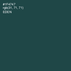 #1F4747 - Eden Color Image