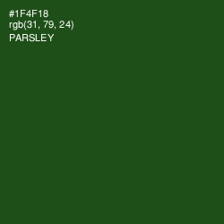 #1F4F18 - Parsley Color Image