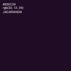 #200C24 - Jacaranda Color Image