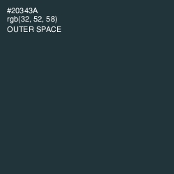#20343A - Outer Space Color Image