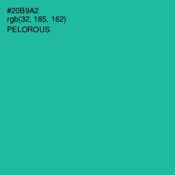 #20B9A2 - Pelorous Color Image