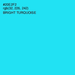 #20E2F2 - Bright Turquoise Color Image