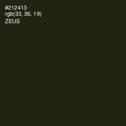 #212413 - Zeus Color Image