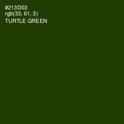 #213D03 - Turtle Green Color Image