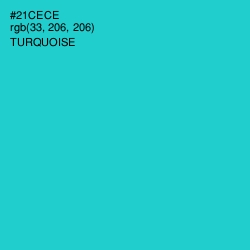 #21CECE - Turquoise Color Image