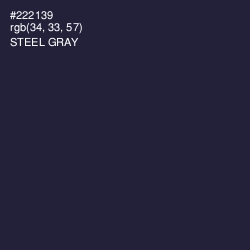 #222139 - Steel Gray Color Image