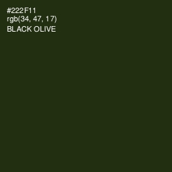 #222F11 - Black Olive Color Image