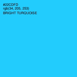 #22CDFD - Bright Turquoise Color Image