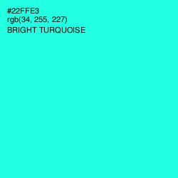 #22FFE3 - Bright Turquoise Color Image
