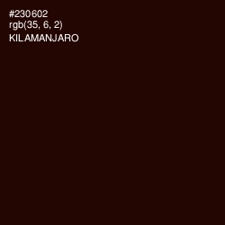 #230602 - Kilamanjaro Color Image