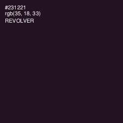 #231221 - Revolver Color Image