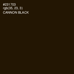 #231703 - Cannon Black Color Image