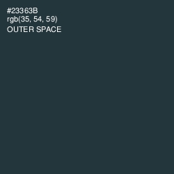 #23363B - Outer Space Color Image