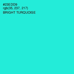 #23EDD9 - Bright Turquoise Color Image