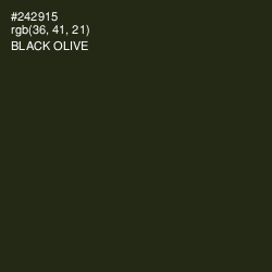 #242915 - Black Olive Color Image