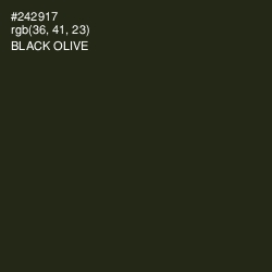 #242917 - Black Olive Color Image