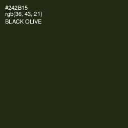 #242B15 - Black Olive Color Image