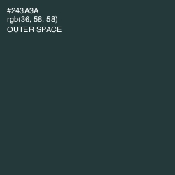 #243A3A - Outer Space Color Image