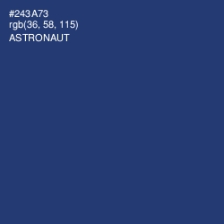 #243A73 - Astronaut Color Image
