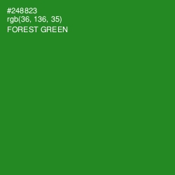 #248823 - Forest Green Color Image