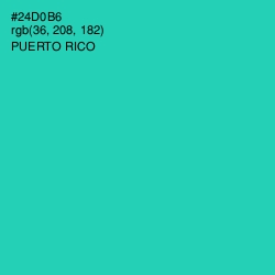 #24D0B6 - Puerto Rico Color Image