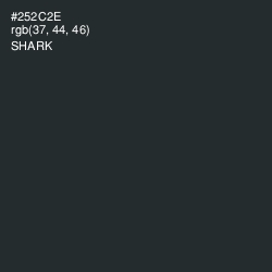 #252C2E - Shark Color Image