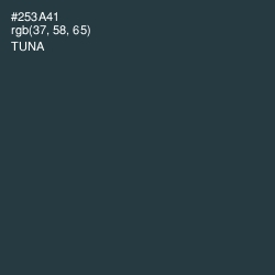 #253A41 - Tuna Color Image