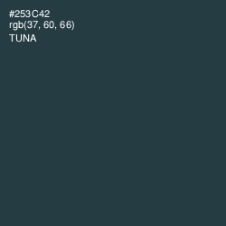 #253C42 - Tuna Color Image