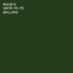 #263B19 - Mallard Color Image