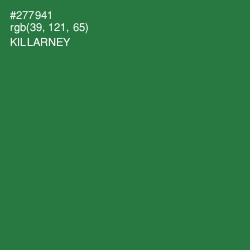 #277941 - Killarney Color Image