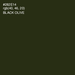 #282E14 - Black Olive Color Image