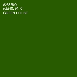 #285B00 - Green House Color Image