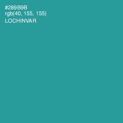 #289B9B - Lochinvar Color Image