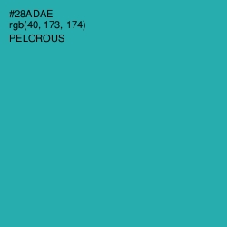 #28ADAE - Pelorous Color Image