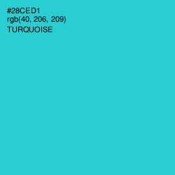#28CED1 - Turquoise Color Image