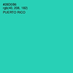 #28D0B6 - Puerto Rico Color Image