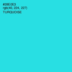 #28E0E3 - Turquoise Color Image