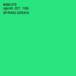 #28E37E - Spring Green Color Image