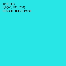 #28E6E6 - Bright Turquoise Color Image