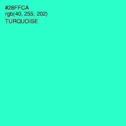 #28FFCA - Turquoise Color Image