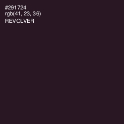 #291724 - Revolver Color Image