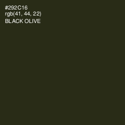 #292C16 - Black Olive Color Image