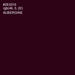 #2E0316 - Aubergine Color Image
