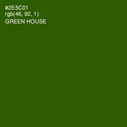 #2E5C01 - Green House Color Image