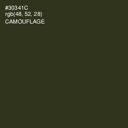 #30341C - Camouflage Color Image